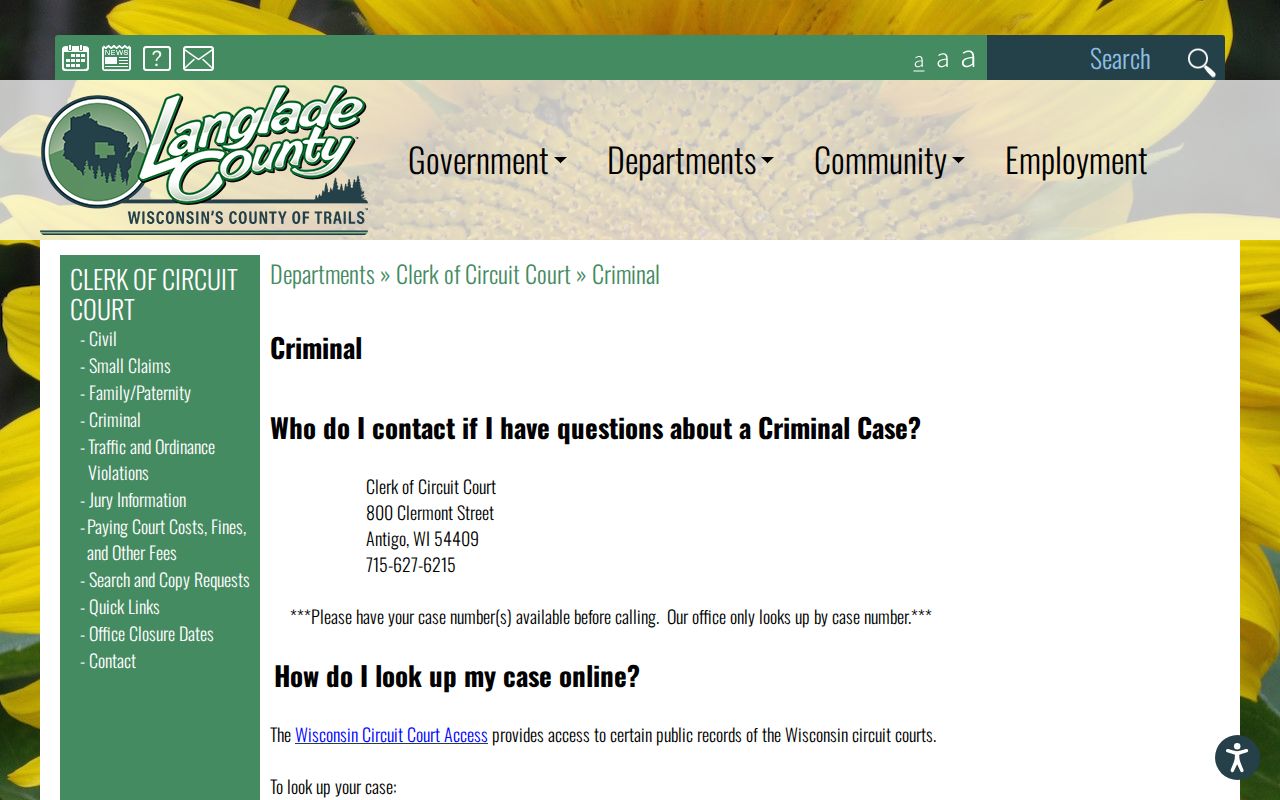 Official Langlade County criminal case lookup instructions